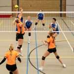 VV Grol DS1