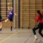 H.V. Grol DS2