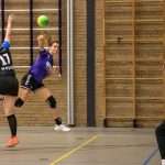 H.V. Grol DS2