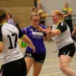 H.V. Grol DS1