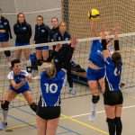 V.V. Grol DS1