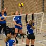V.V. Grol DS1