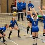 V.V. Grol DS1