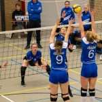 V.V. Grol DS1