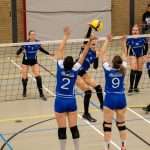 V.V. Grol DS1