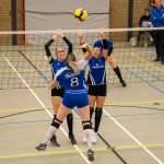 V.V. Grol DS1