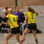 H.V. Grol DS2