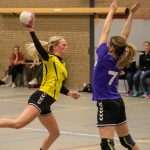 H.V. Grol DS2