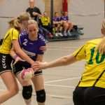 H.V. Grol DS2