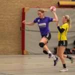 H.V. Grol DS2