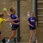 H.V. Grol DS1