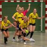 H.V. Grol DS1