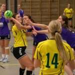 H.V. Grol DS1