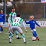 Grol 1 - Spero 1