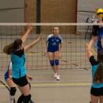 VV Grol DS4
