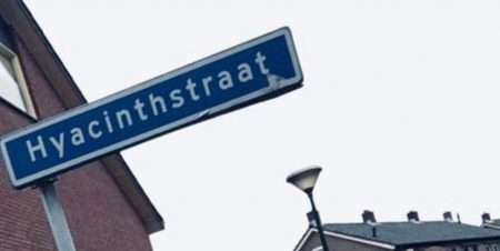 Hyacintenactie 2018