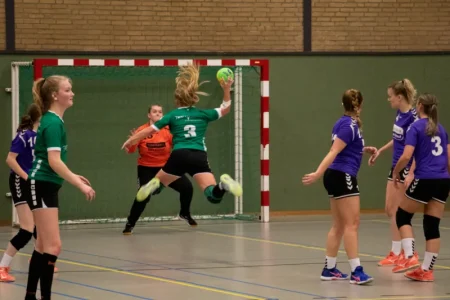 H.V. Grol DS1 – Stormvogels DS1