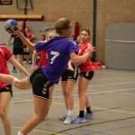 H.V. Grol DS1