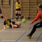 H.V. Grol DS1