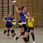 H.V. Grol DS2