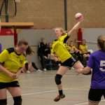 H.V. Grol DS2
