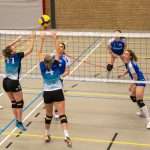 VV Grol DS1