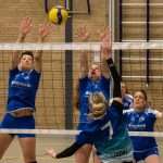 VV Grol DS1