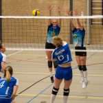 VV Grol DS1