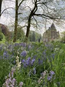 Ontdek de kasteeltuinen van Verwolde tijdens een tuinrondleiding!