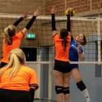 VV Grol DS1
