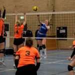 VV Grol DS1