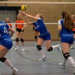 VV Grol DS1