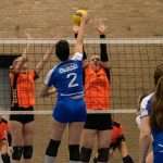 VV Grol DS1