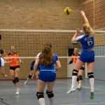 VV Grol DS1