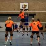 VV Grol DS1