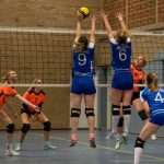 VV Grol DS1