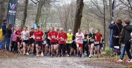 Loodzware maar oerend mooie Lochemsebergloop