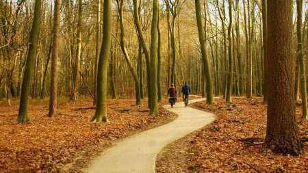Fietsen in het bos