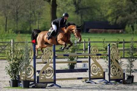 PSC Lichtenvoorde - Robin Bril wint 1.40m GP met Uptons Tribon. Foto Wendy Scholten.jpg