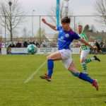 Spero - Grol