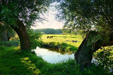 Hoe Twentse dorpen steeds duurzamer worden