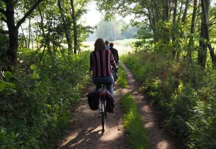 Mondriaan Fietstocht: Ontdek de Inspiratiebronnen van de Kunstenaar in Winterswijk