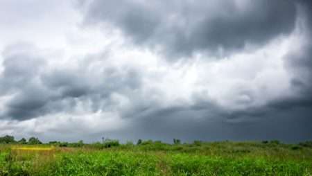 Groen, Regen en Rust: Zomertijd in de Achterhoek