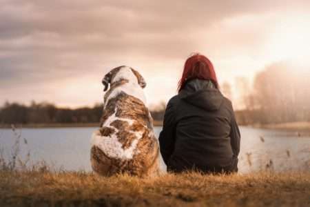 Een hond mee op vakantie: houd hier rekening mee