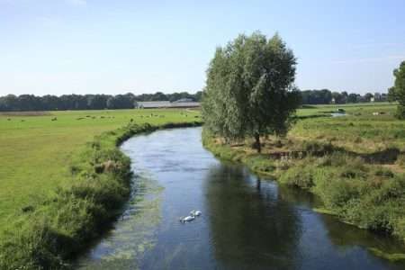 Unie van Waterschappen ziet mogelijkheden voor versneld natuurherstel ondanks beperkte budgetten in Miljoenennota