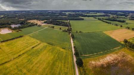 Natuurwandeling Besselinkschans onder Begeleiding van IVN