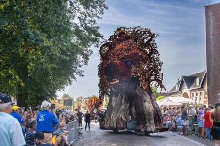 ‘Berenbos’ de grote winnaar van het Bloemencorso Lichtenvoorde