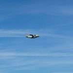 IMG-20230904-WA0003