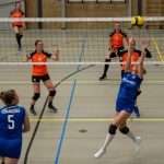 VV Grol DS1