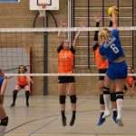 VV Grol DS1